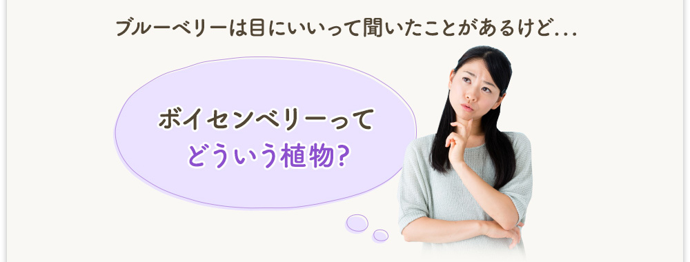 ブルーベリーは目にいいって聞いたことがあるけど...「ボイセンベリーってどういう植物?」