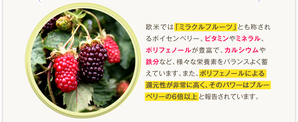 欧米では「ミラクルフルーツ」とも称されるボイセンベリー。ビタミンやミネラル、ポリフェノールが豊富で、カルシウムや鉄分など、様々な栄養素をバランスよく蓄えています。また、ポリフェノールによる還元性が非常に高く、そのパワーはブルーベリーの6倍以上と報告されています。