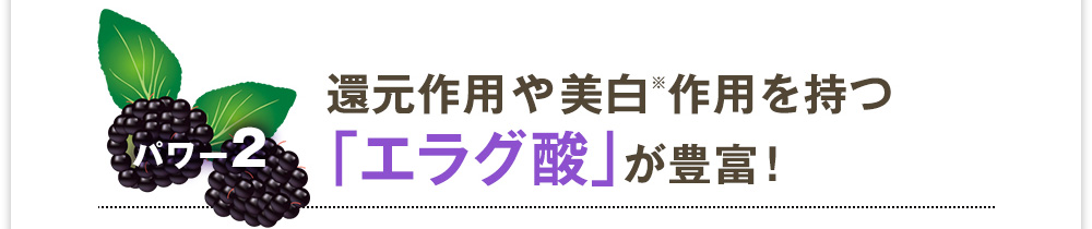 パワー2　還元作用や美白作用を持つ「エラグ酸」が豊富！
