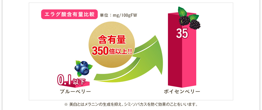 [エラグ酸含有量比較]　ボイセンベリーはブルーベリーの350倍以上
