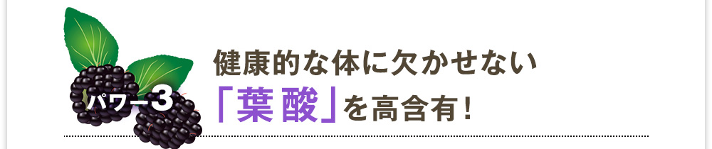 パワー3　健康的な体に欠かせない「葉酸」を高含有！
