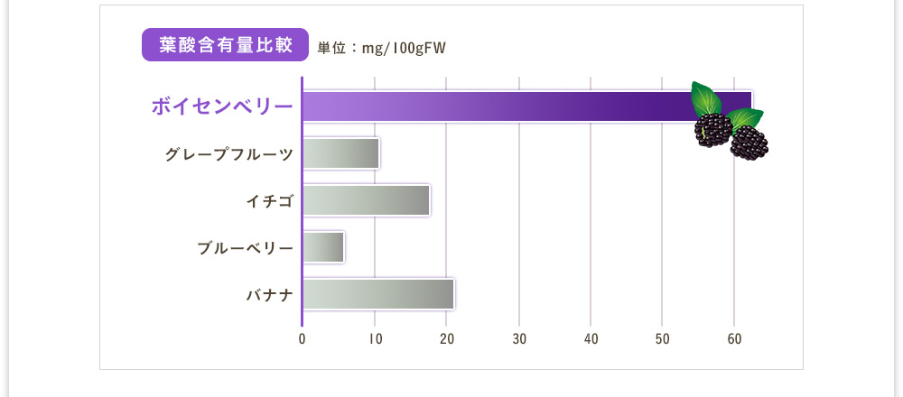 [葉酸含有量比較]　ボイセンベリーは他のフルーツに比べ約3倍以上