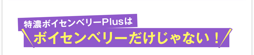 特濃ボイセンベリーPlusはボイセンベリーだけじゃない！
