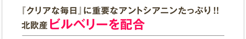 『クリアな毎日』に重要なアントシアニンたっぷり!!北欧産ビルベリーを配合