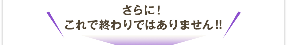 さらに! これで終わりではありません!!